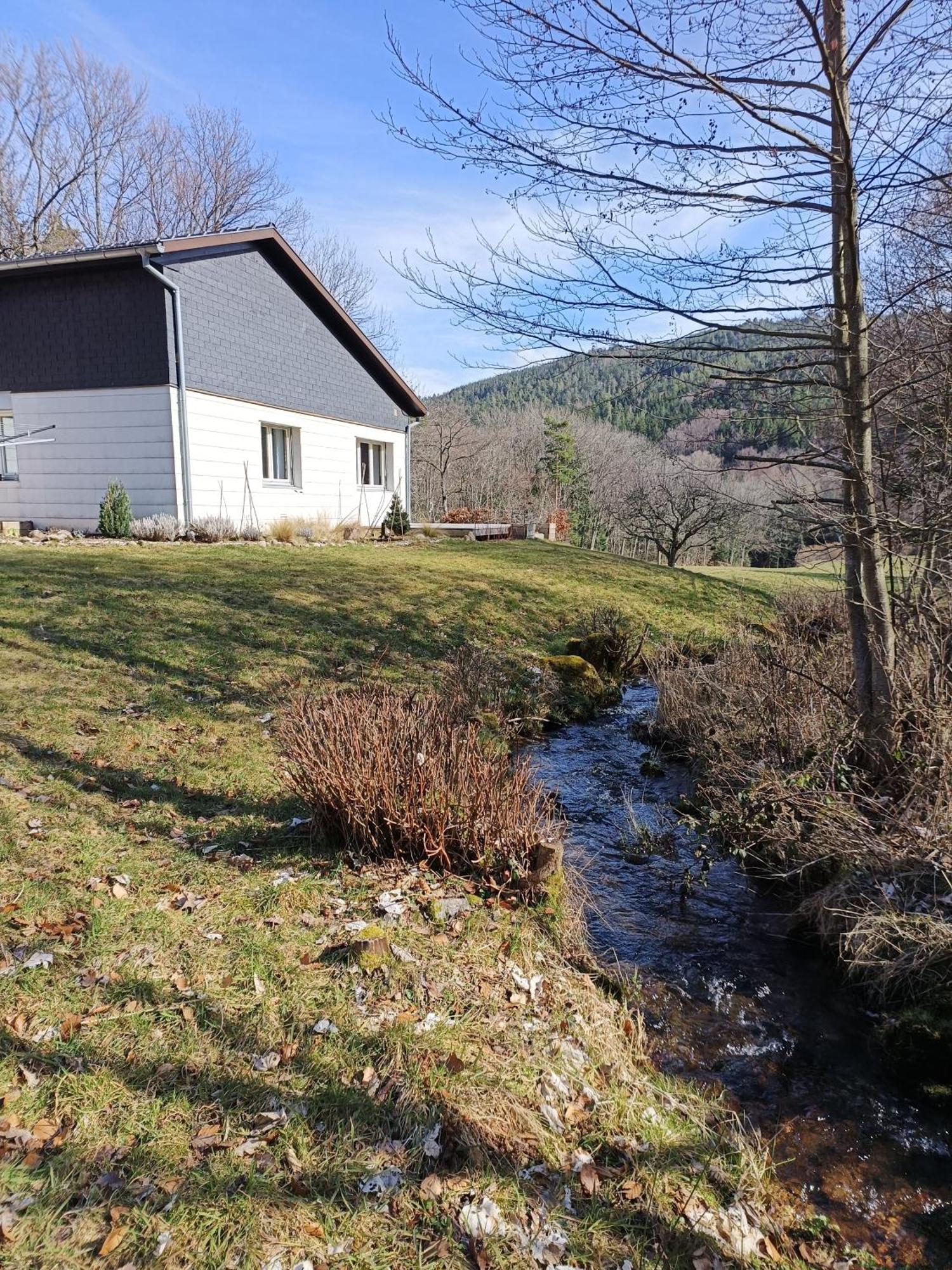 Le Gite De Bri Orbey Buitenkant foto